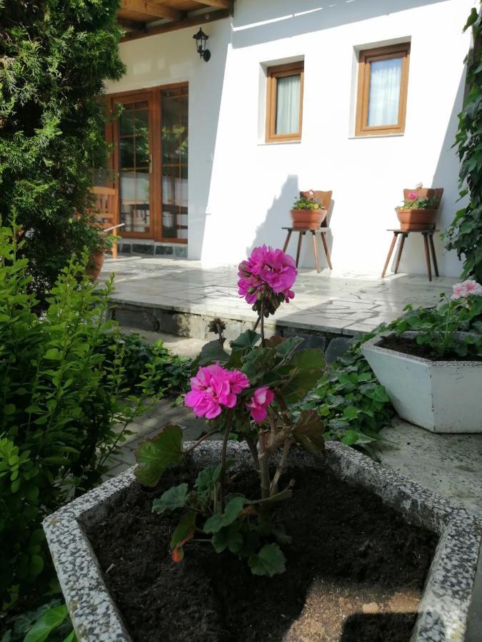 Apartmány 62 Novy Prerov Exterior foto